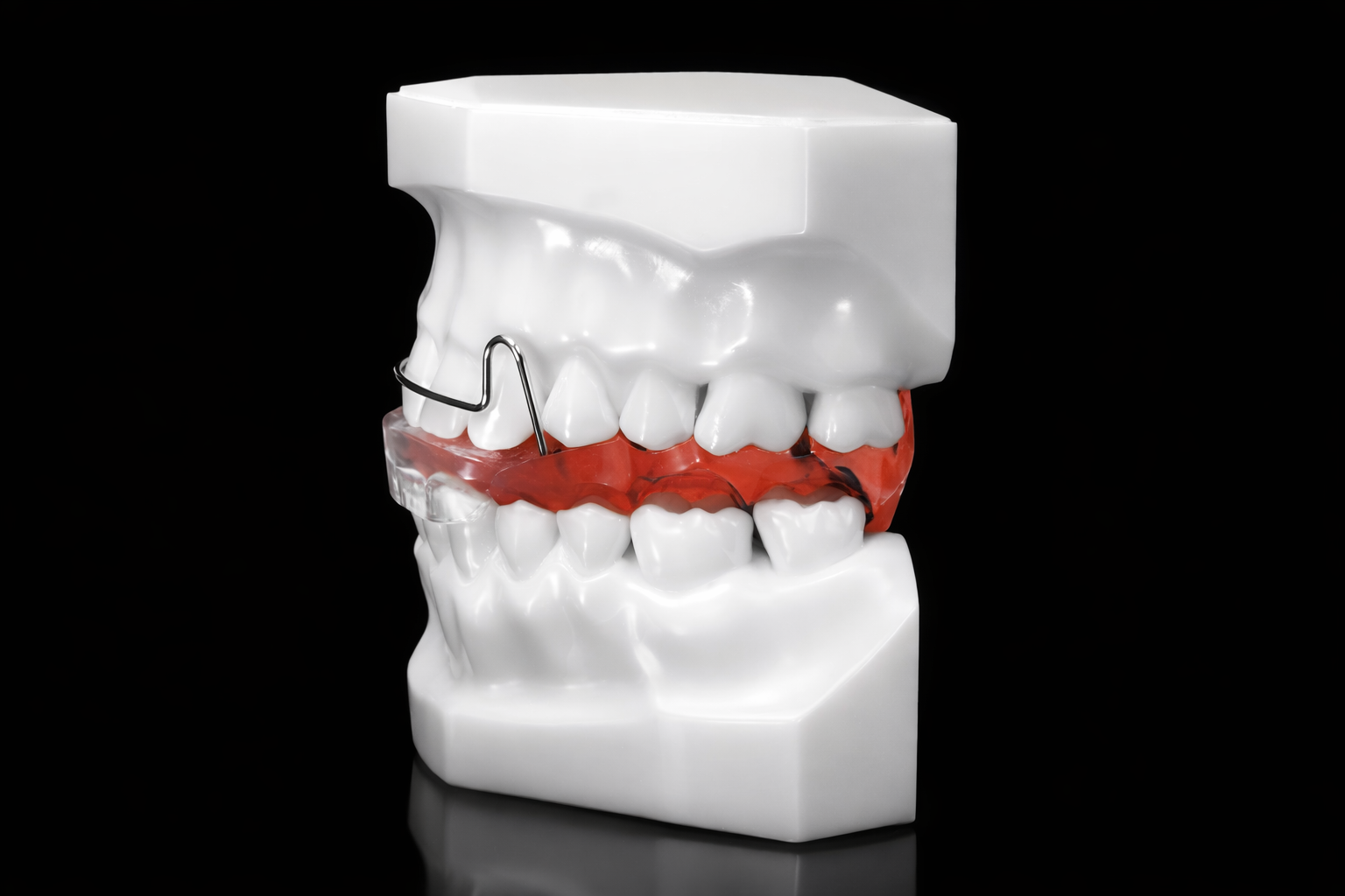Custom Bionator appliance